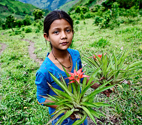 photograph of young girl with bromeliads