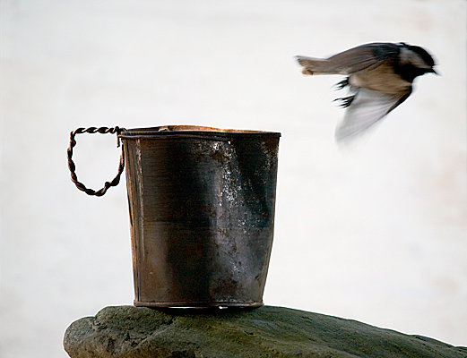 photograph of "Hobo Cup"
