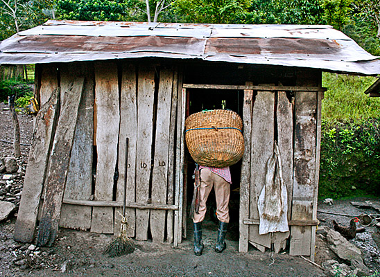 photograph of a basket too wide for the doorway