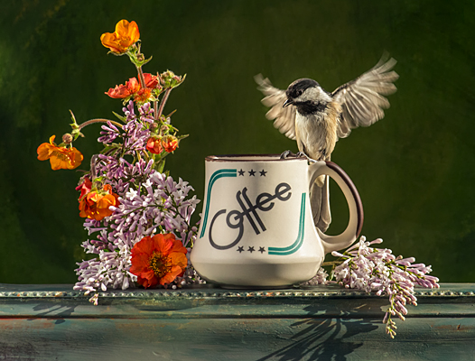 photograph: Coffee